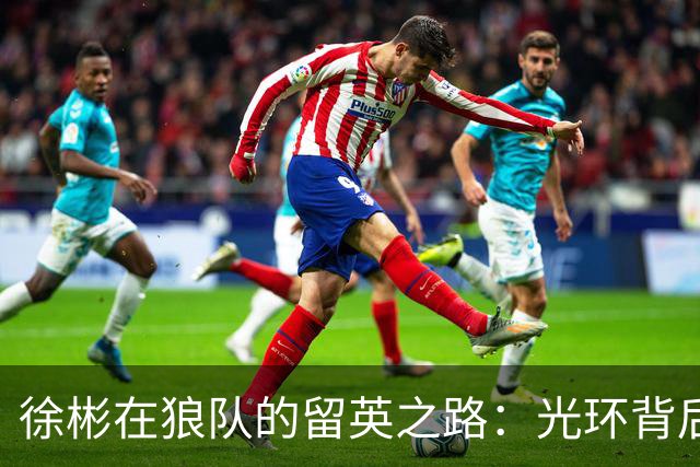 徐彬在狼队的留英之路：光环背后的沉重代价
